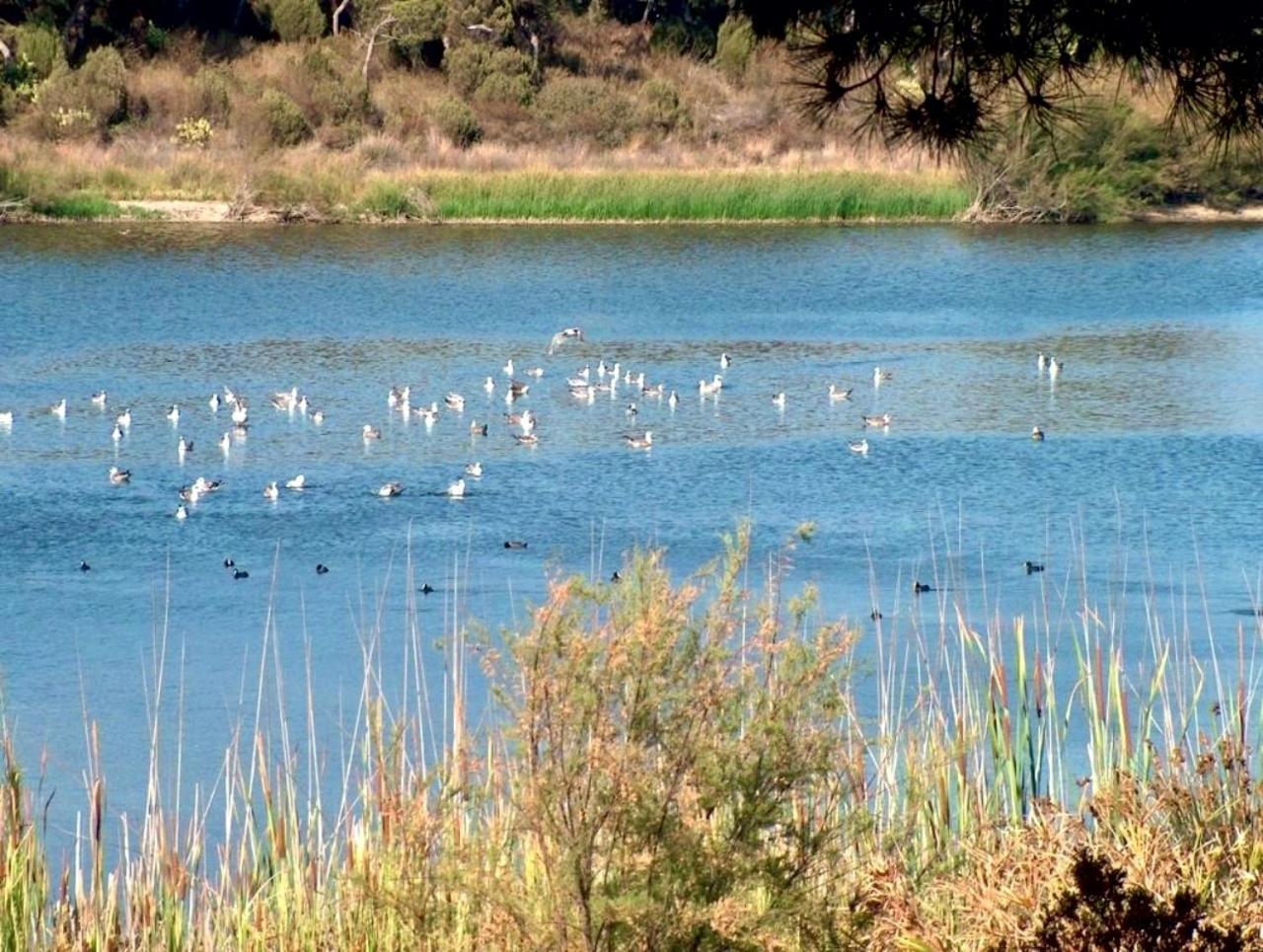Paqo Lodge Laguna Del Portil, A 400 Metros De La Playa Eksteriør bilde