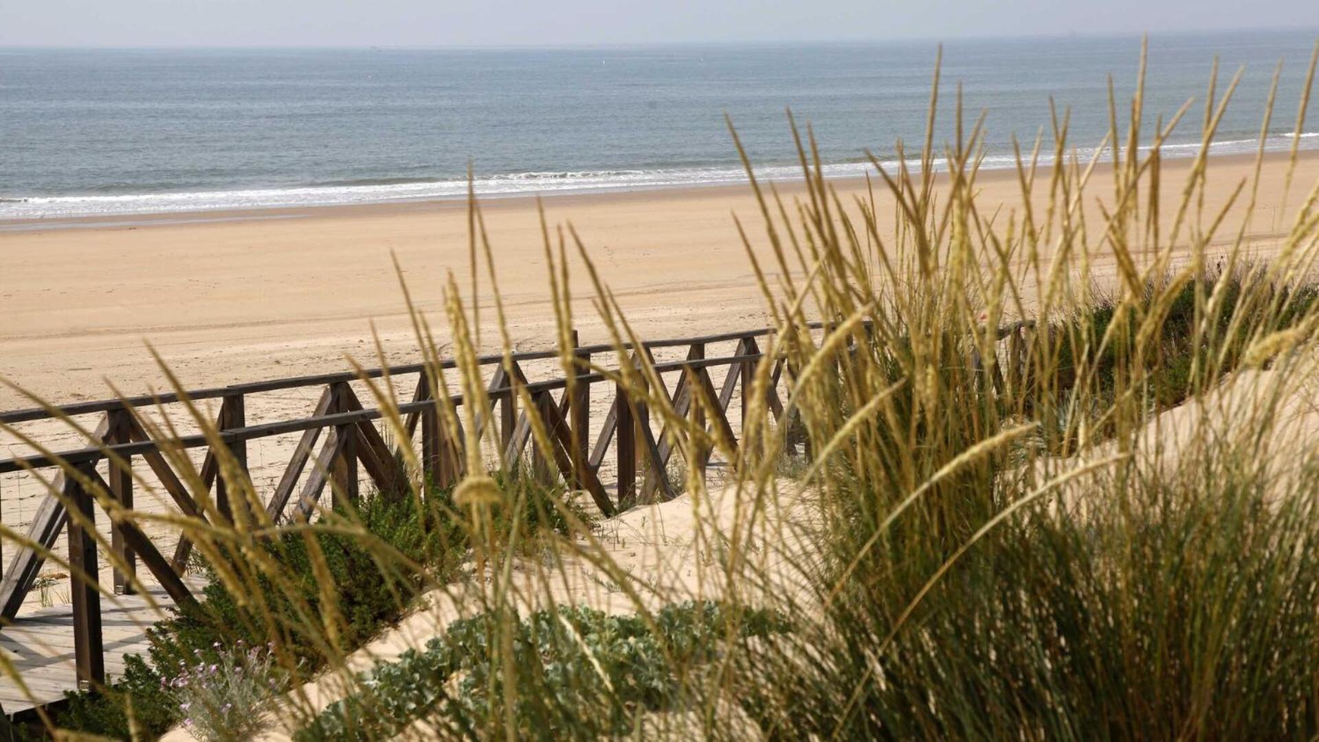 Paqo Lodge Laguna Del Portil, A 400 Metros De La Playa Eksteriør bilde
